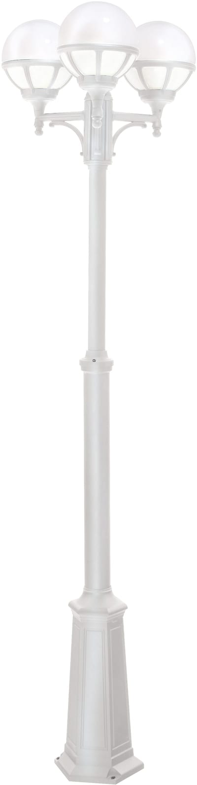 Bologna 365 White (365W)