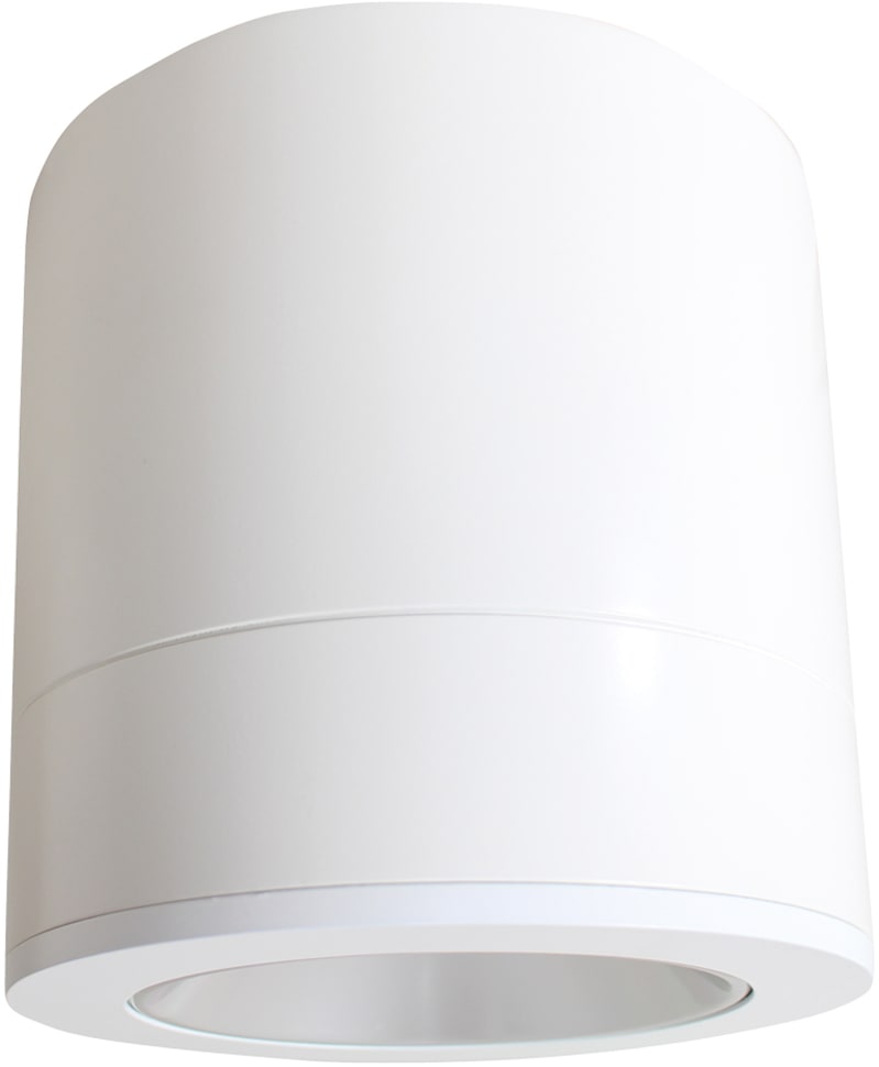 RAX 150 Surface 19W/830 DALI (8246081610)