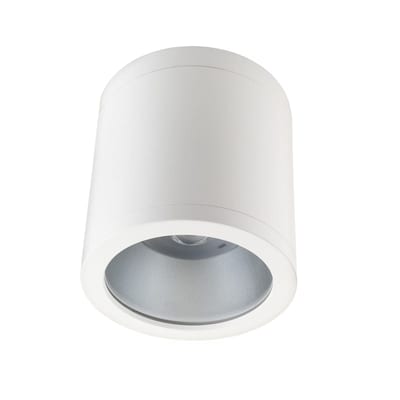 RAX SOFT Surface 150 White 34W/830 IP65