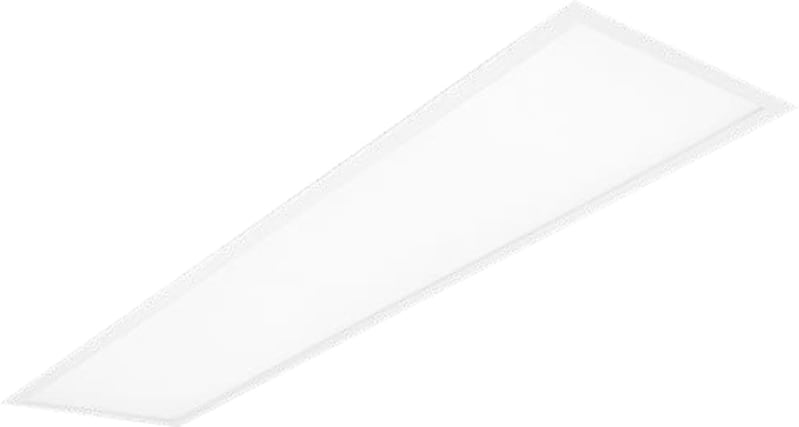 C25-R300X1200 4000 HF 830 MP (C25529082)