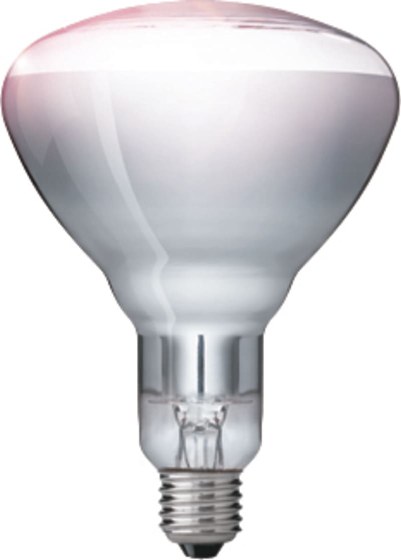 IR250CH BR125 230-250V E27 (923212143801)