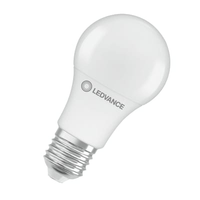 LED Light Bulb Daylight CL A 60 827 Matte E27