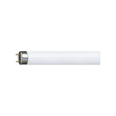 Fluorescent TUBE Master TLD8 36W/830 1M