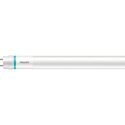 T8 600mm 865 18W=8W EM230V