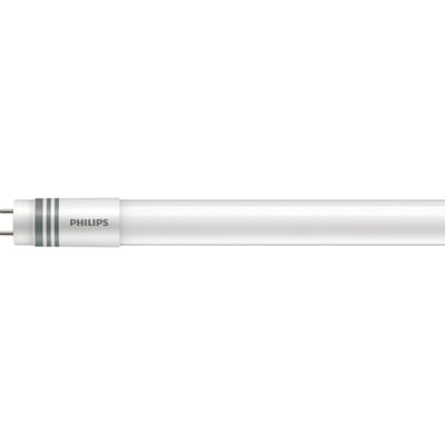 Corepro Ledtube UN 0,6M HO 8W840 T8