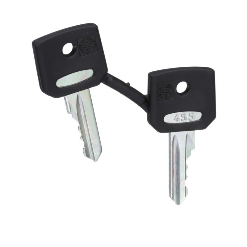 Schneider Electric set of 2 keys 455 ZBG455