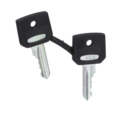 Schneider Electric set of 2 keys 455 ZBG455