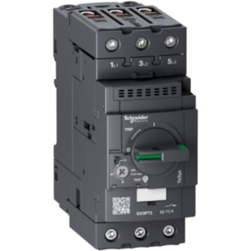 Schneider Electric TeSys GV3P thermal-magn motor circuit breaker 62-73A EverLink GV3P73