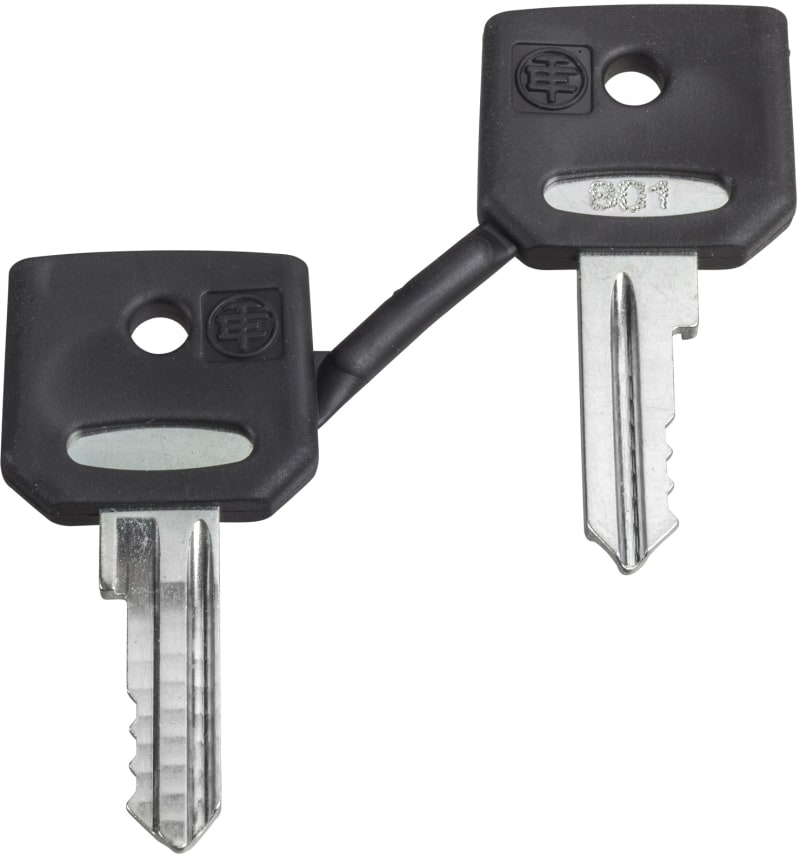 Schneider Electric ZBG458A Harmony XB4/XB5 Ronis 458A Key Set of 2
