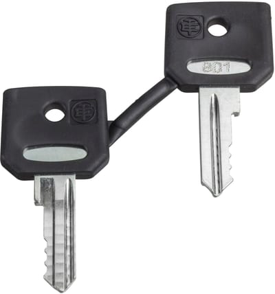 Schneider Electric ZBG458A Harmony XB4/XB5 Ronis 458A Key Set of 2