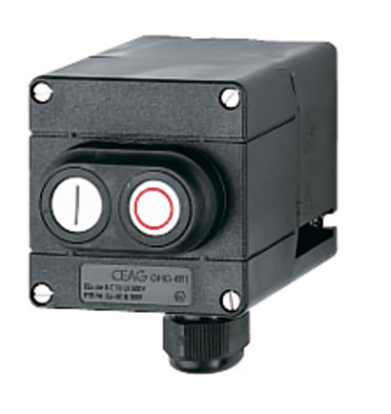 Switch, Double Push-Button "0-1" (GHG 411 8100 R0009)