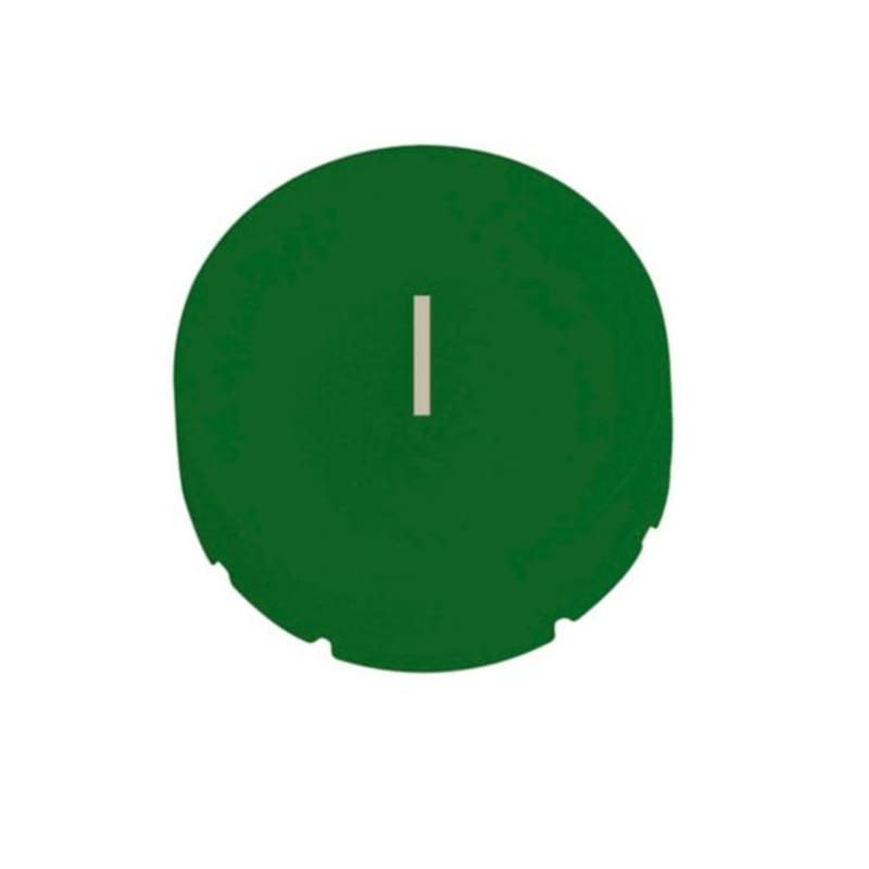 Push-button plate, RMQ (M22-XDH-G-X1)