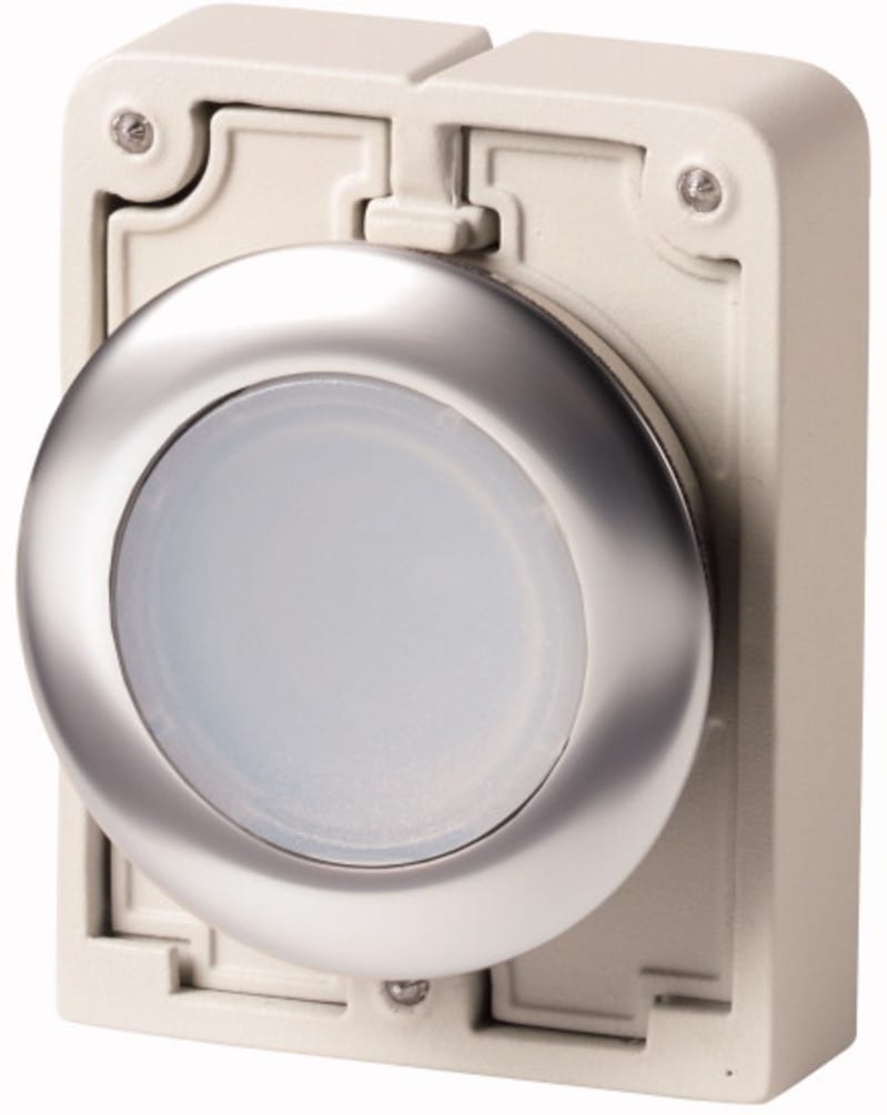 Illuminated Push Button Flat Front (M30C-FDL-W)