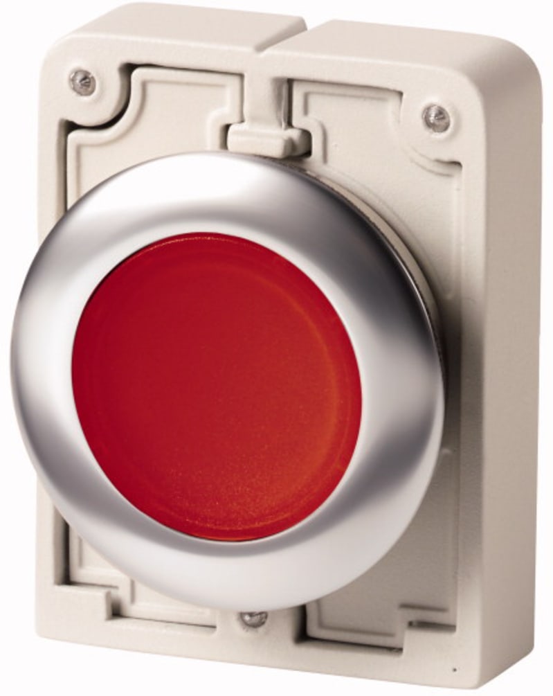 Illuminated Push Button Flat Front (M30C-FDRL-R)
