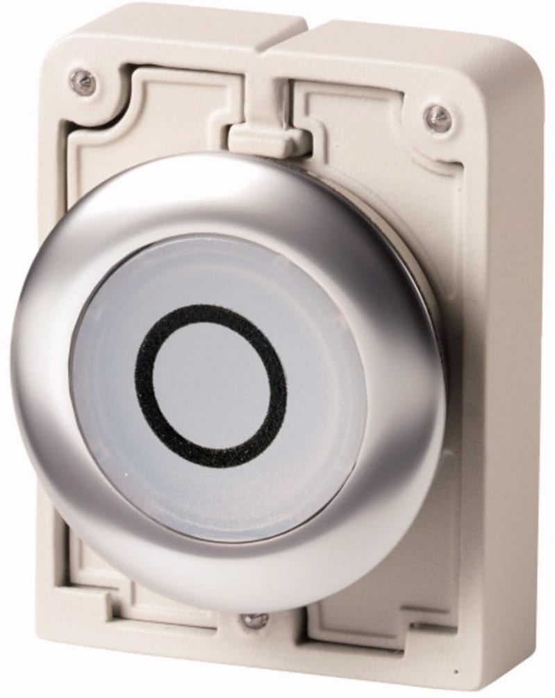 Illuminated Push Button Flat Front (M30C-FDRL-W-X0)