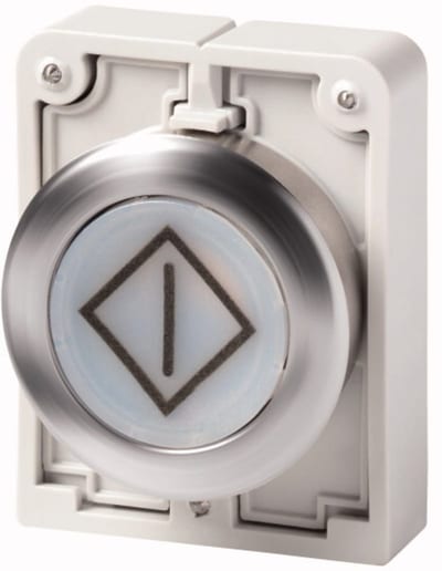 Illuminated Push Button Flat Front (M30C-FDL-W-X100)