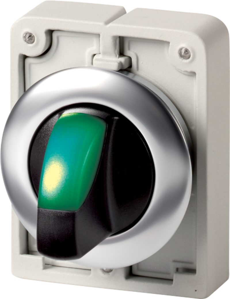 Rotary switch with light, Flat Front (M30C-FWLK3-G)