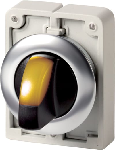 Rotary switch with light, Flat Front (M30C-FWLKV-Y)