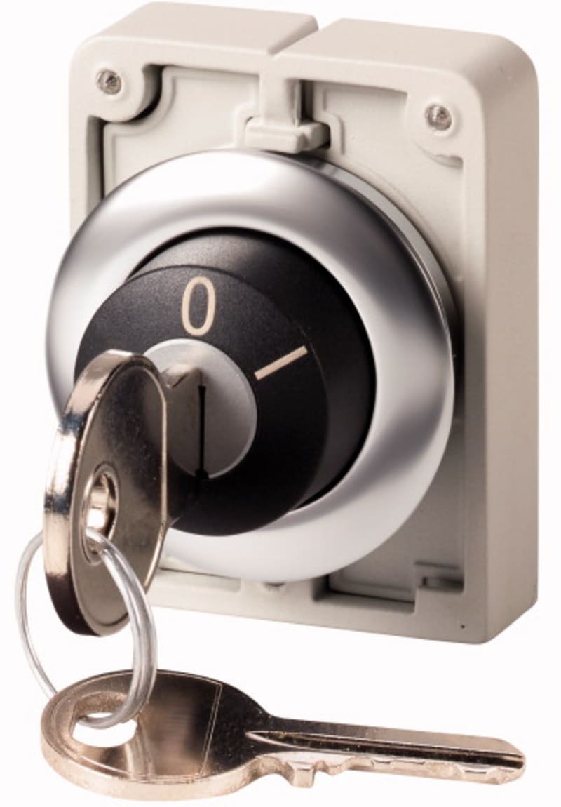 Key switch, Flat Front (M30C-FWRS-RS-A1)