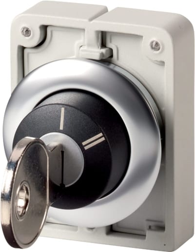 Key switch, Flat Front (M30C-FWRS-X95)