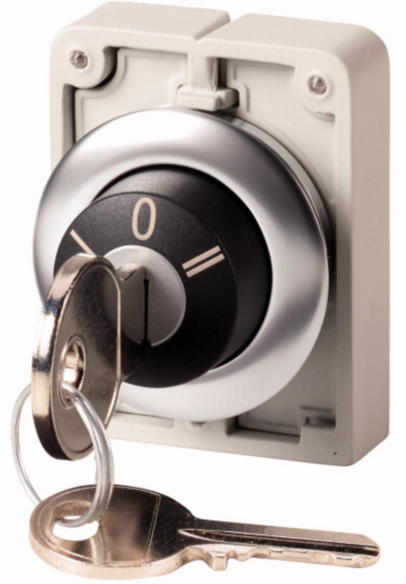 Key switch, Flat Front (M30C-FWRS3-RS-A1)