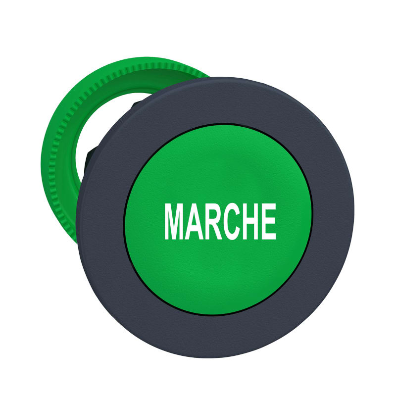 Push-button flush green with text (ZB5FA342)