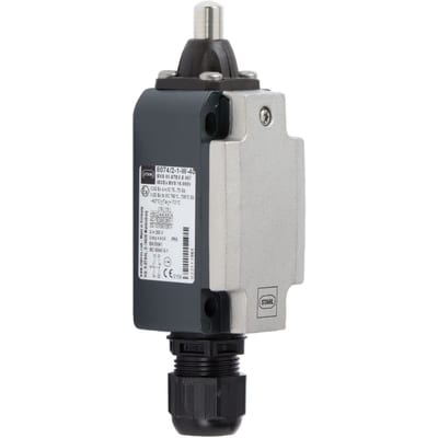 Ex Position Switch 8074/2-2-W-40, plunger