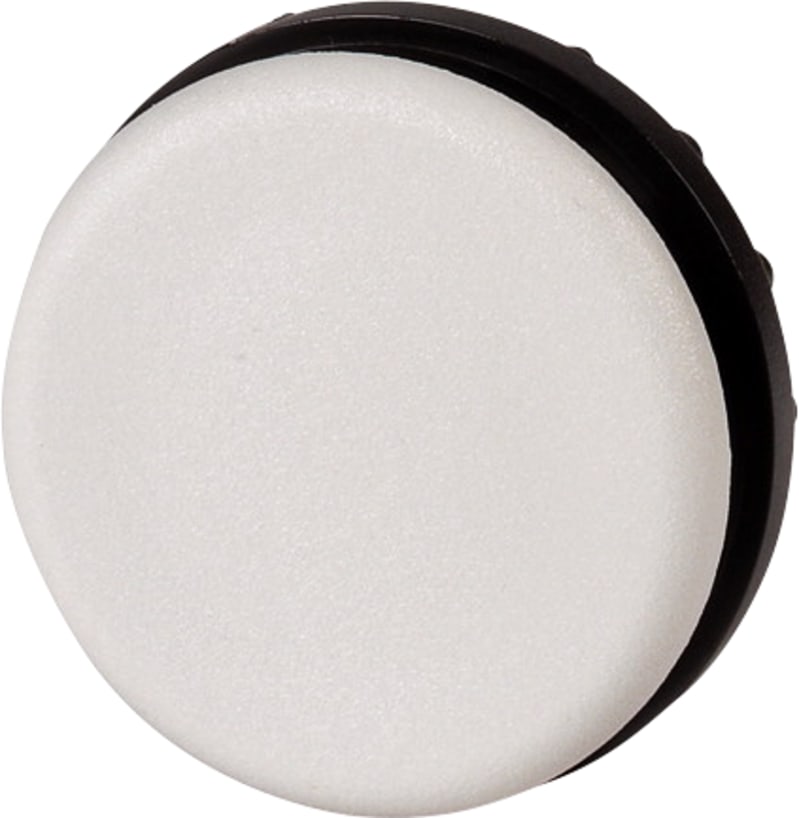 Blanking Plug GREY (M22-B)