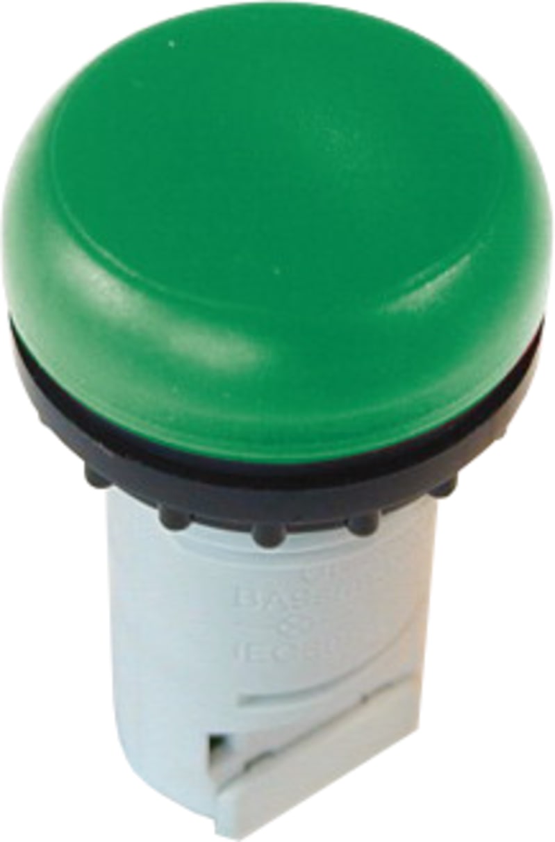 SIGNALL.COMPACT Green FLATBA9S (M22-LC-G)