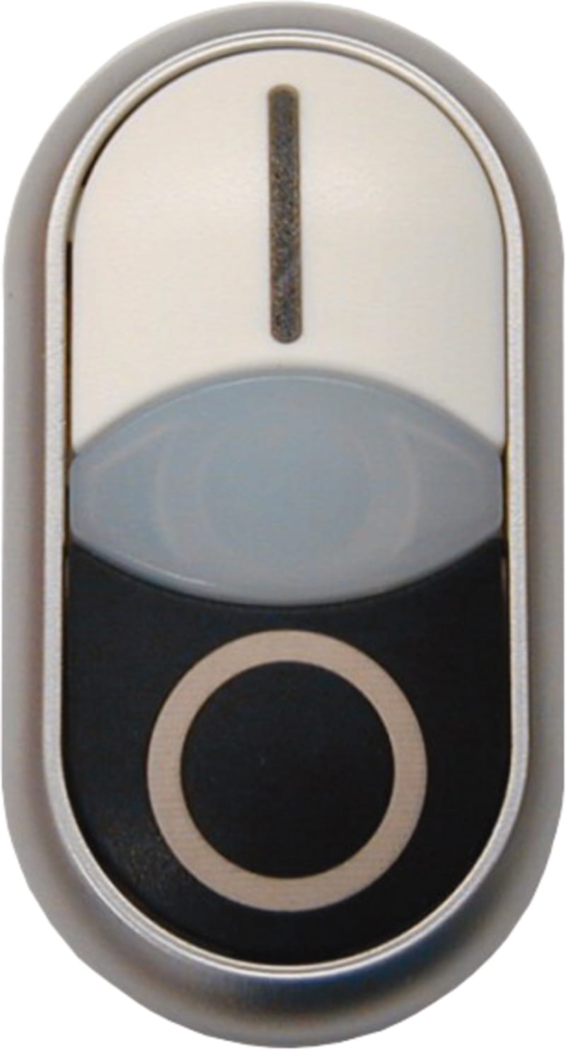 DoubleTR.BUTTON 1/0 with LIGHT (M22-DDL-WS-X1/X0)
