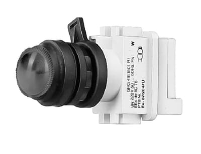 EEX S.LUMINAIRE 20-250V for Panelmont