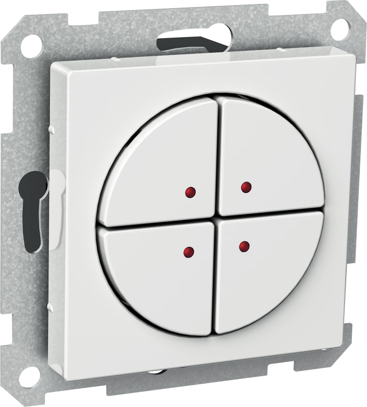 Schneider Electric Exxact Low-Voltage 4-Gang Push Button with LED (WDE002394)