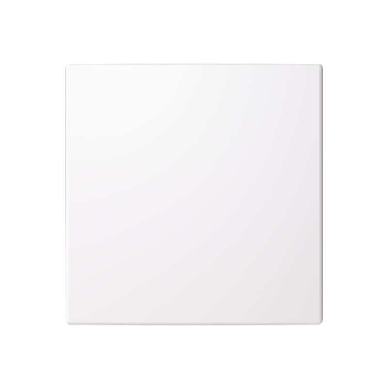 ABB 2TKA00005251 1 - hallway rocker for Friends of Hue and Bluetooth (Casambi) smart switch inserts.