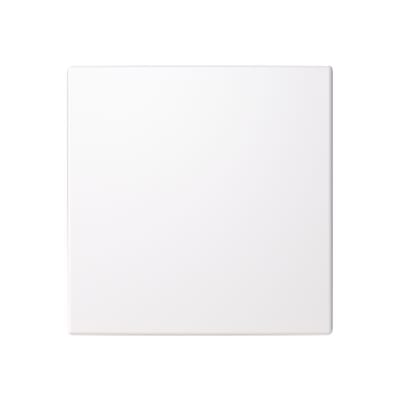 ABB 2TKA00005251 1 - hallway rocker for Friends of Hue and Bluetooth (Casambi) smart switch inserts.