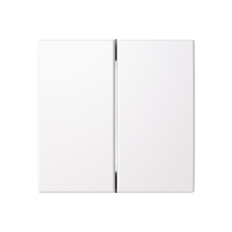 ABB 2TKA00005252 2 - hallway rocker for Friends of Hue and Bluetooth (Casambi) smart switch inserts.