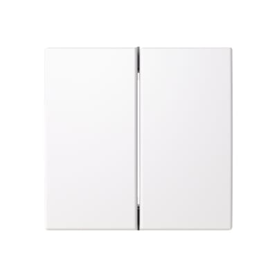ABB 2TKA00005252 2 - hallway rocker for Friends of Hue and Bluetooth (Casambi) smart switch inserts.