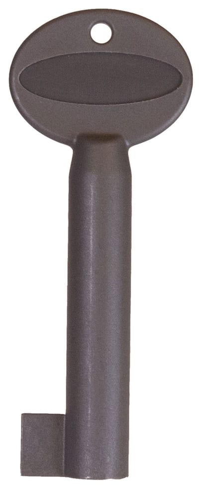 Schneider Electric FFS00703904 Operating Key for Fire Alarm Panel