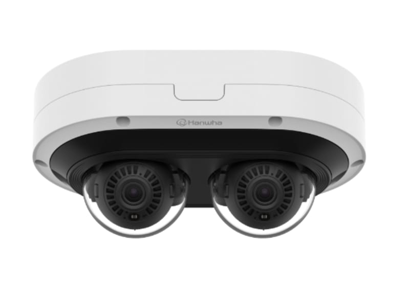 2X 2MP AI Multi-directional (PNM-C7083RVD)