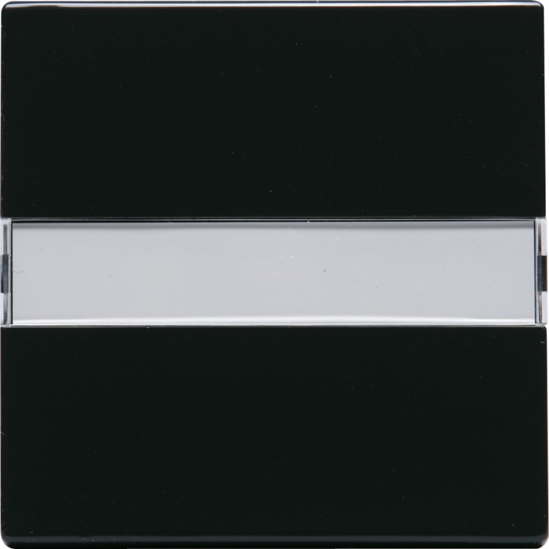 ABB Impressivo Switch Rocker with Label Field Anthracite (1764 NLI-81)