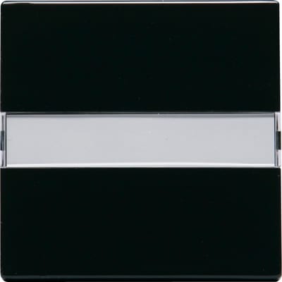 ABB Impressivo Switch Rocker with Label Field Anthracite