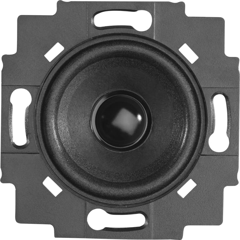 ABB Loudspeaker Insert Flush-Mounted 2 W (2CKA008200A0042)