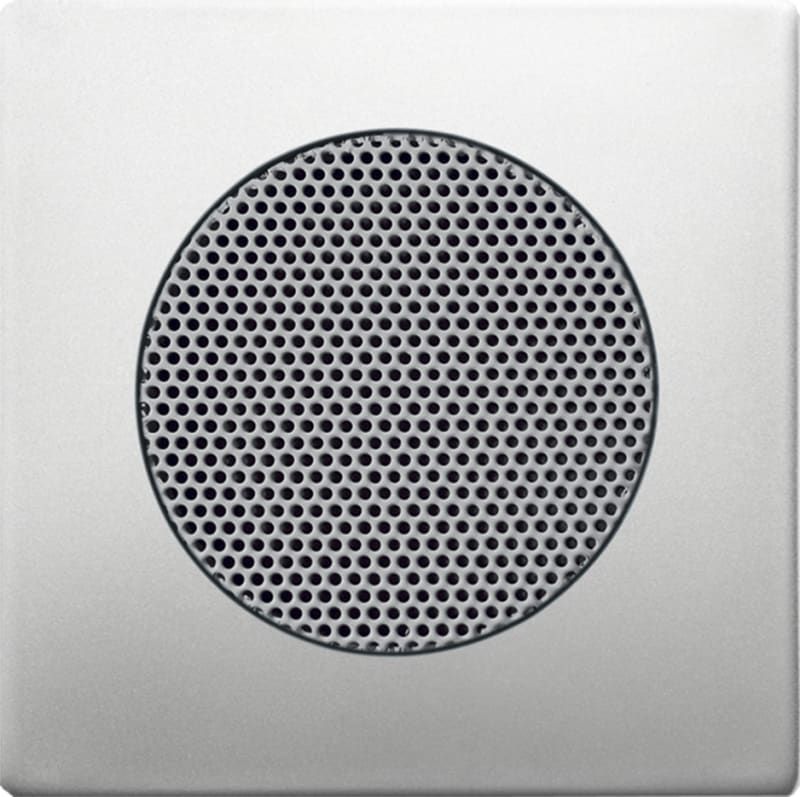 ABB 2CKA008200A0087 Impressivo Loudspeaker Cover Plate, Stainless Steel Look
