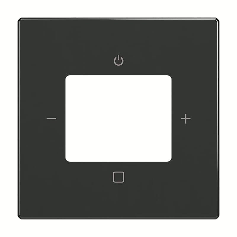 Impressivo SENT.PL. Dab+ Radio Anthracite (2CKA008200A0249)