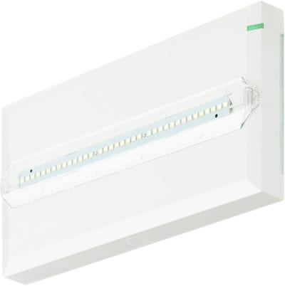 FlexiTech SE guide light 300LM AT IP65