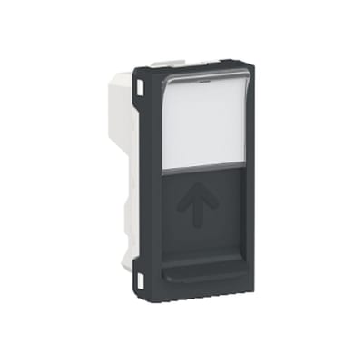 RJ45 Keyst cover, 1 mod ant