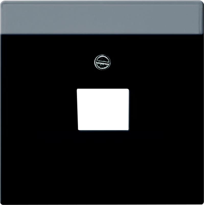 Impressivo SENT.PL Access P. Anthracite (2CKA001710A3616)