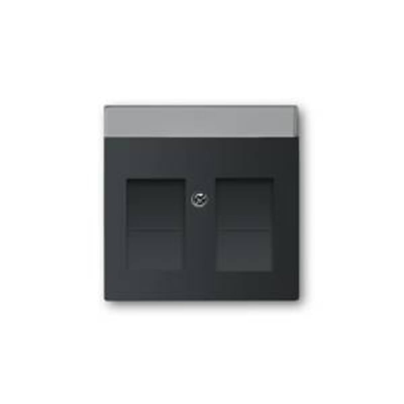 ABB Center Plate 2x RJ45 with Dust Cover Slide Entrance Black Matt (1800-885)
