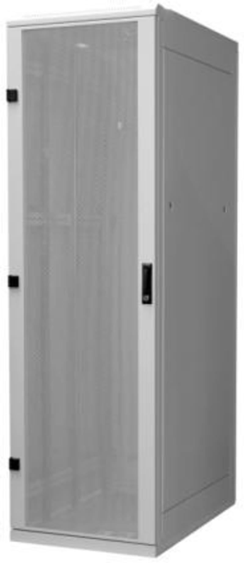 19" Rack 42U 60X100X197PERF.D (RJA-42-L61-CAX-A5)