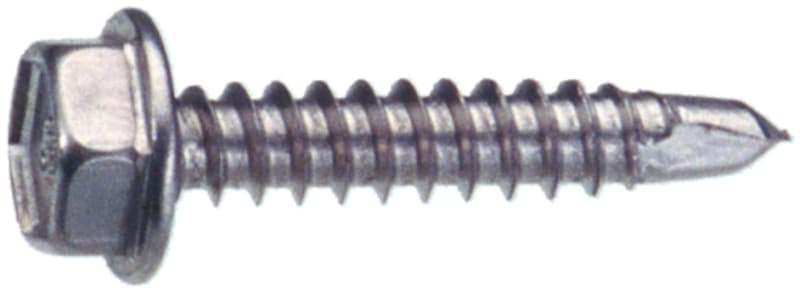 RAULI Wall 6,3X25MM Drillhead screw (11101)