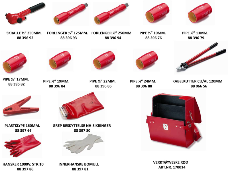 1000V Basic equipment TOOL, REDT (8800549)